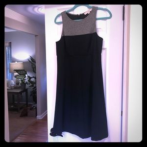 Ann Taylor Loft Dress